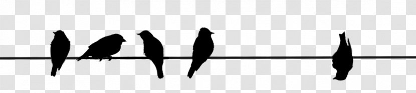 Black Line Silhouette Angle White - M - Bird On A Wire Transparent PNG