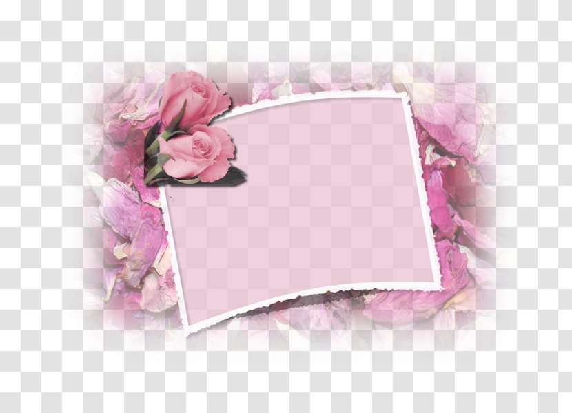 Petal Picture Frames Pink M - Flower Transparent PNG