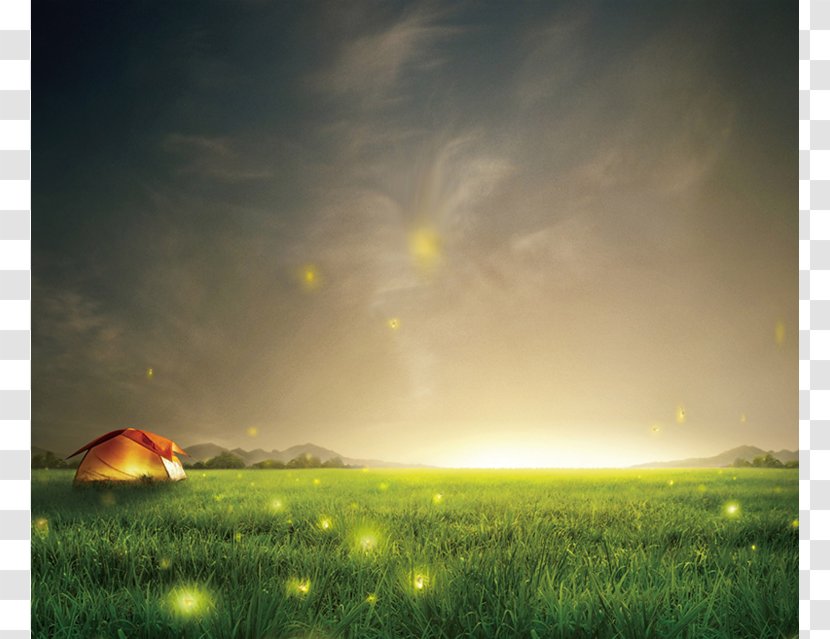 Samsung Galaxy S6 S5 Smartphone Wallpaper - Nature - Night Sky Fireflies Grass Background Transparent PNG
