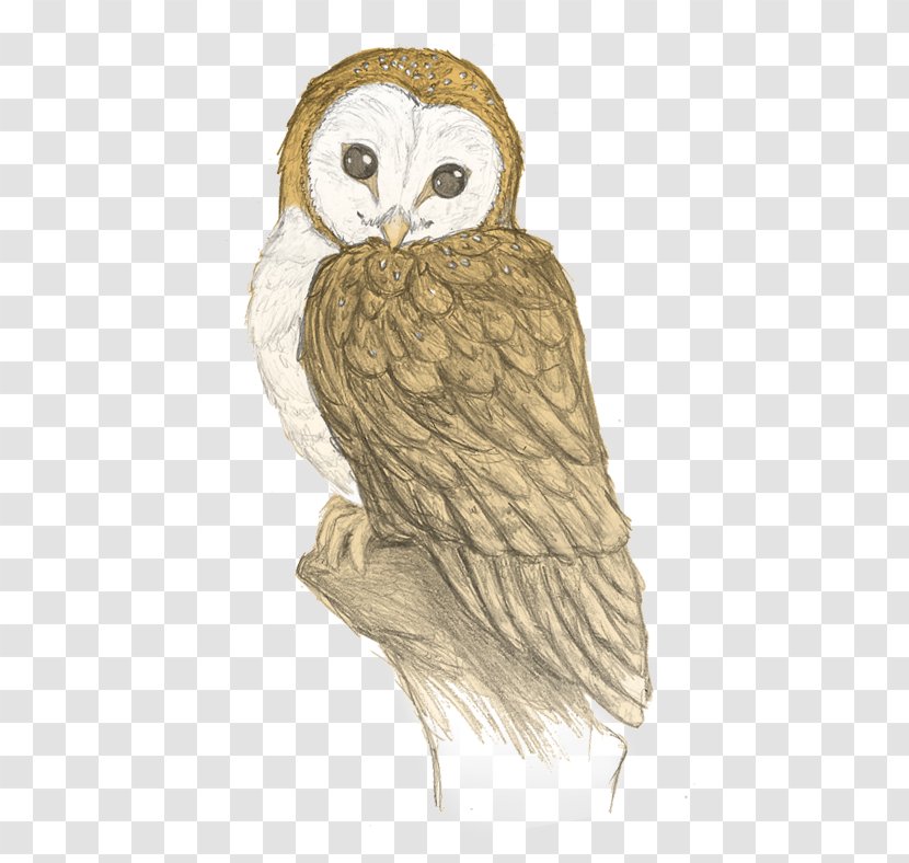 Owl How To Draw Drawing Sketch Pencil - Engineering Transparent PNG