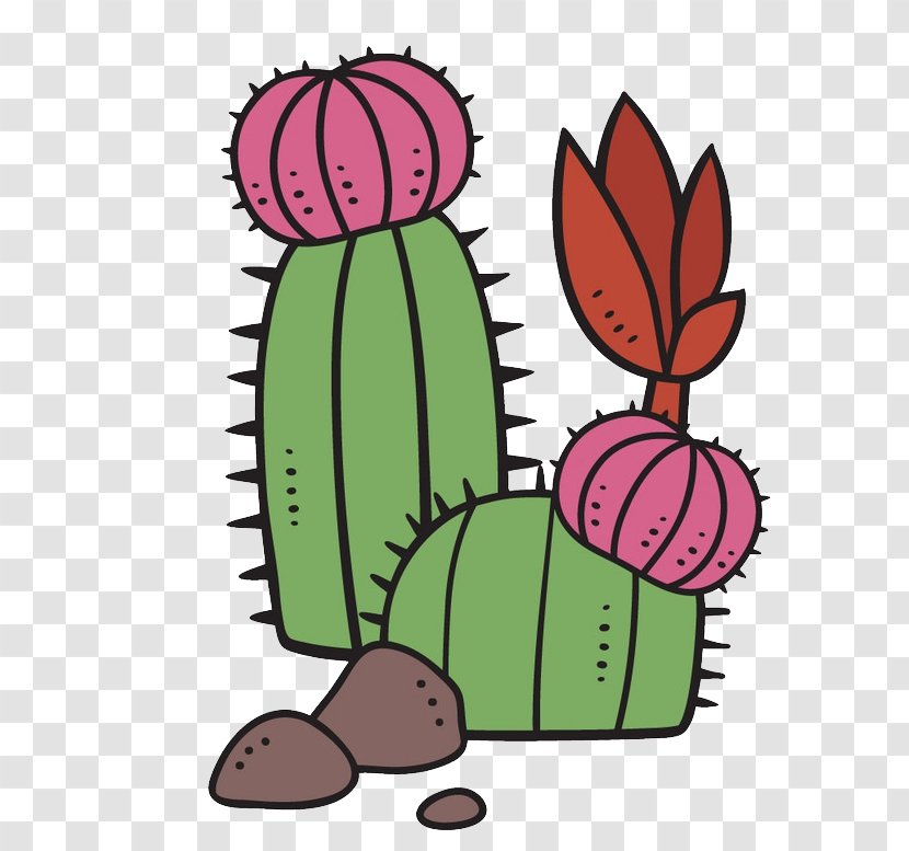 Succulent Plant Cartoon Cactaceae - Point - Flowering Cactus Transparent PNG