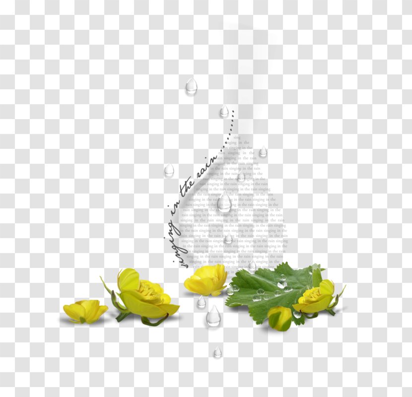 Frog Animation Desktop Wallpaper - Photography Transparent PNG