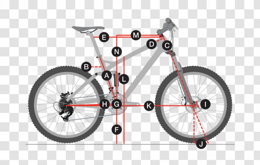 Trek Bicycle Corporation Fuel Frames Mountain Bike - Road Transparent PNG