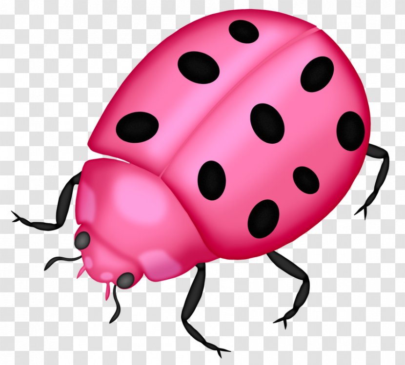 Ladybird - Beetle - Weevil Jewel Bugs Transparent PNG