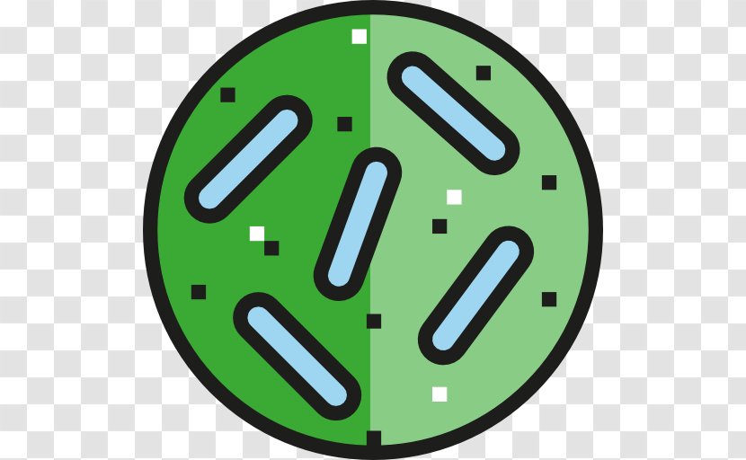 Bacteria Gut Flora - Antibiotics - Bacterial Transparent PNG