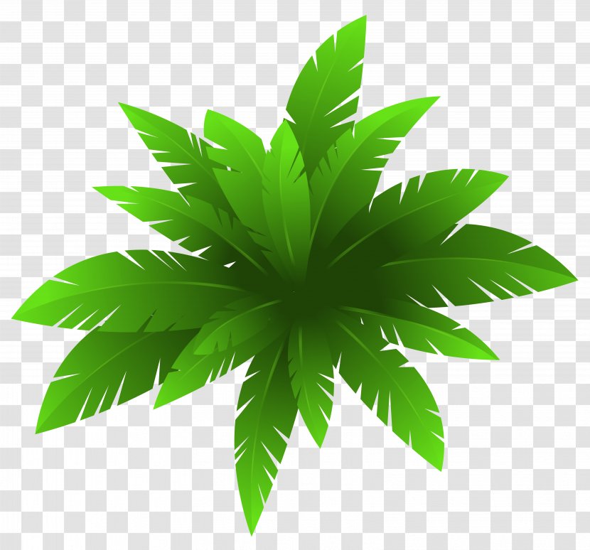 Plant Flower Clip Art - Green - Decoration Image Transparent PNG
