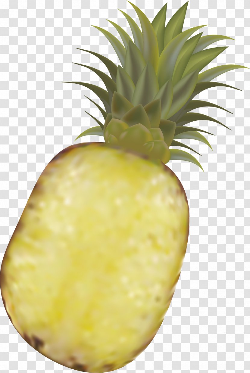 Pineapple Fruit Royalty-free - Vector Transparent PNG