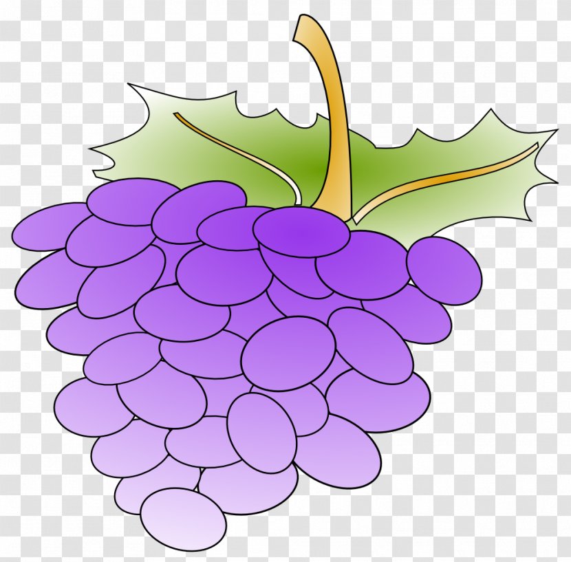Common Grape Vine Juice Clip Art - Fruit - Clipart Transparent PNG