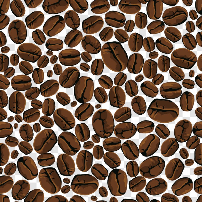 Coffee Bean Cafe - Drink - Vector Head Transparent PNG