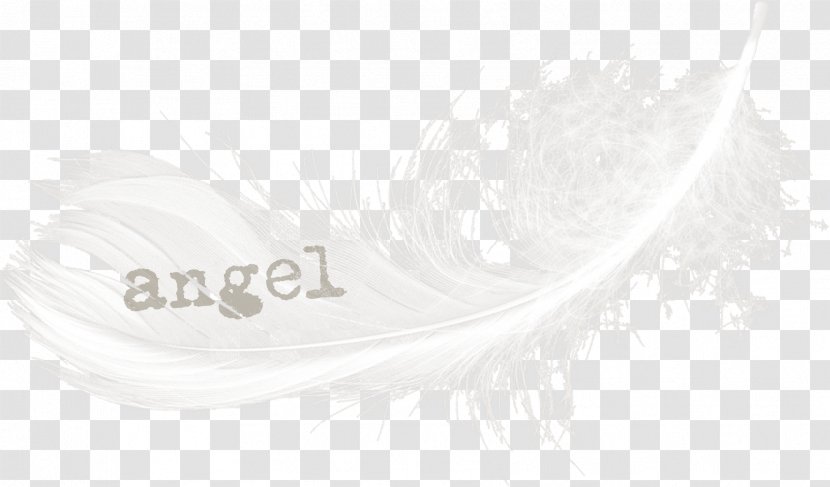 Feather White Material Font - Fresh Style Transparent PNG