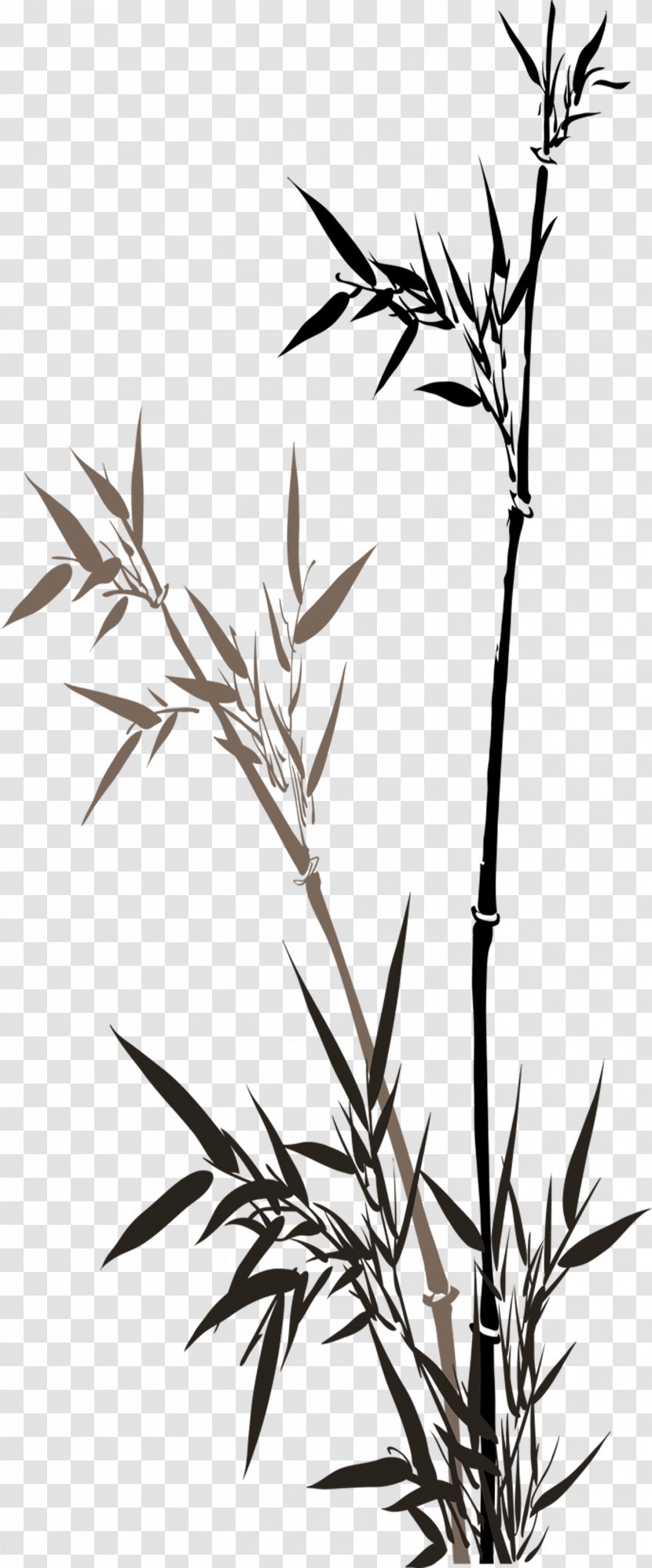 China Ink Wash Painting Bamboo - Art - Chinese Material In Spring Transparent PNG