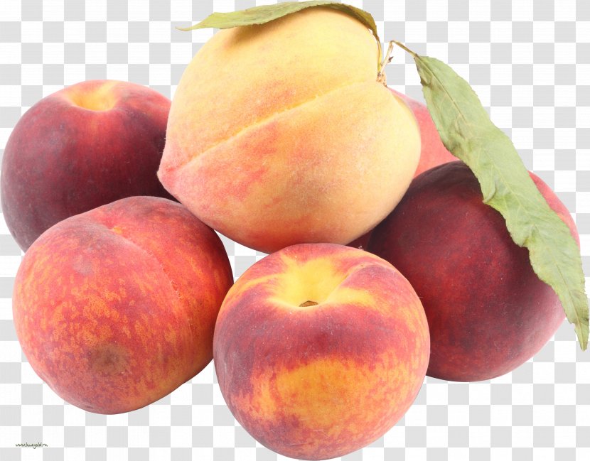 Nectarine Apricot Food Peach - Local Transparent PNG