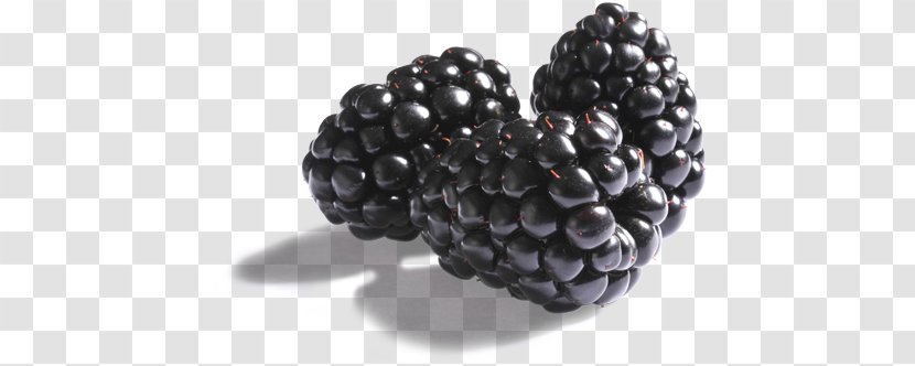 Boysenberry BlackBerry Pearl Raspberry - Pomegranate - Blackberry Transparent PNG