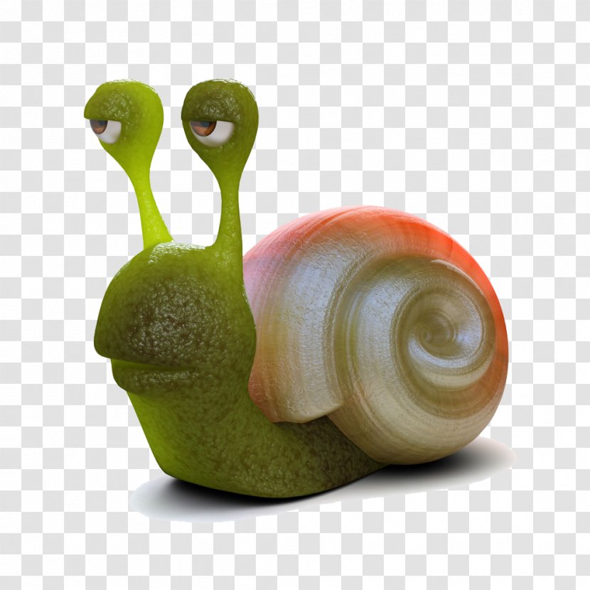 Snail Drawing Slug Photography Illustration - Gastropod Shell - Green Transparent PNG