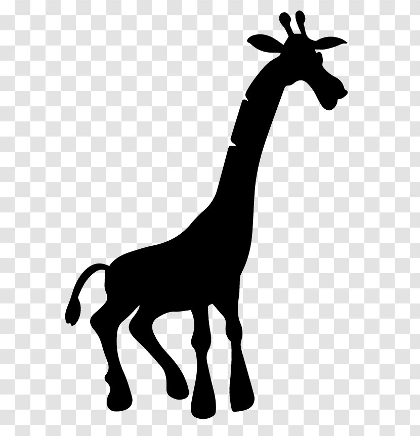 Giraffe Mustang Black & White - M - Goat Pack Animal Transparent PNG