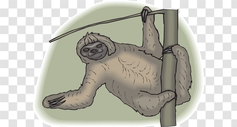 Three-toed Sloth Clip Art - Tree - Cliparts Transparent PNG