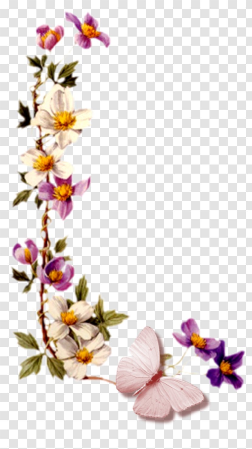 Desktop Wallpaper Flower - Petal - Karim Transparent PNG