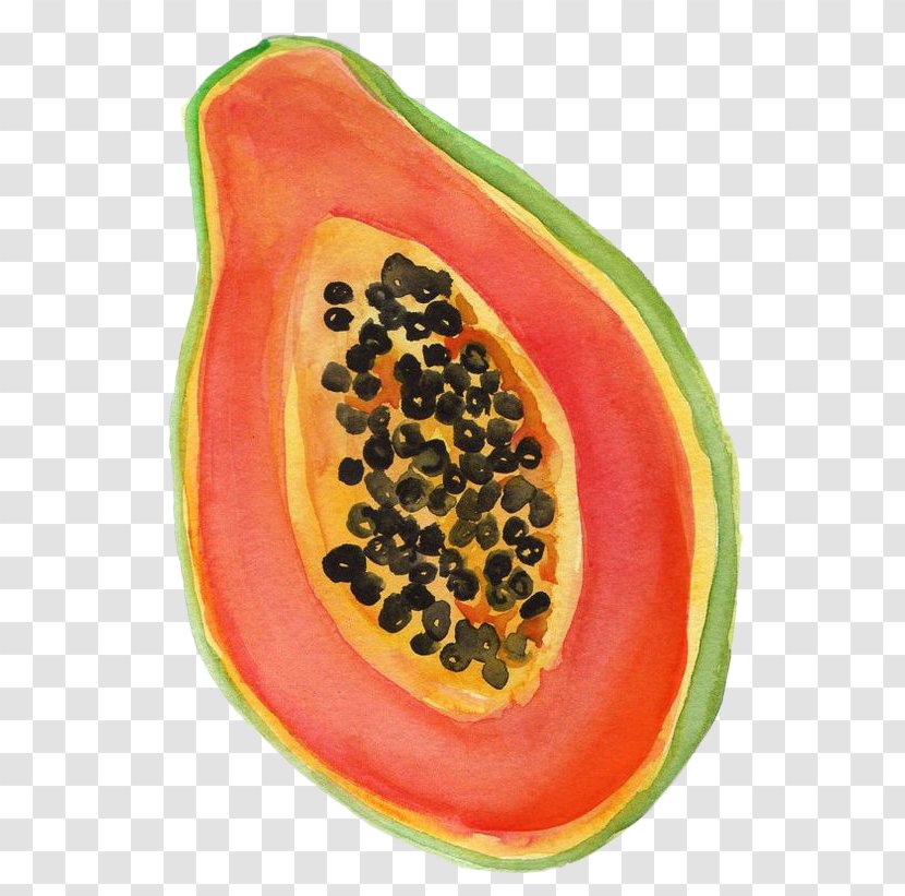 Papaya Watermelon Drawing Watercolor Painting - Superfood - Hand-painted Half A Transparent PNG