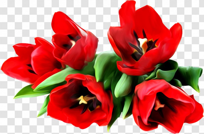 Artificial Flower - Plant - Lily Family Transparent PNG