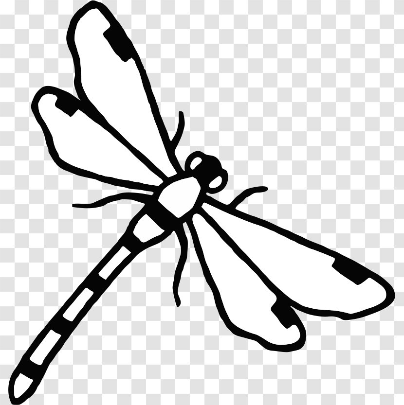 School Insect Label - Monochrome - Dragon Fly Transparent PNG