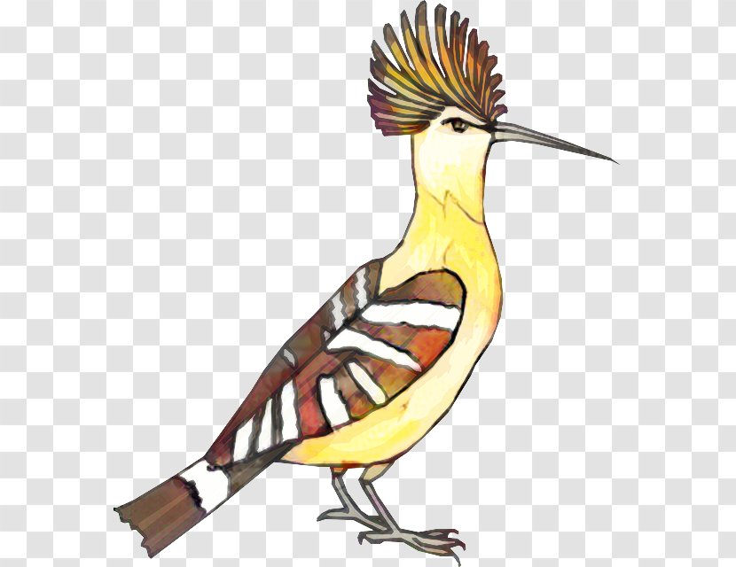 Beak Clip Art Illustration Fauna Feather - Bird - Eastern Meadowlark Transparent PNG