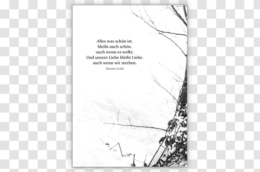 Text Paper Greeting & Note Cards Condolences Consolation - Saying Transparent PNG