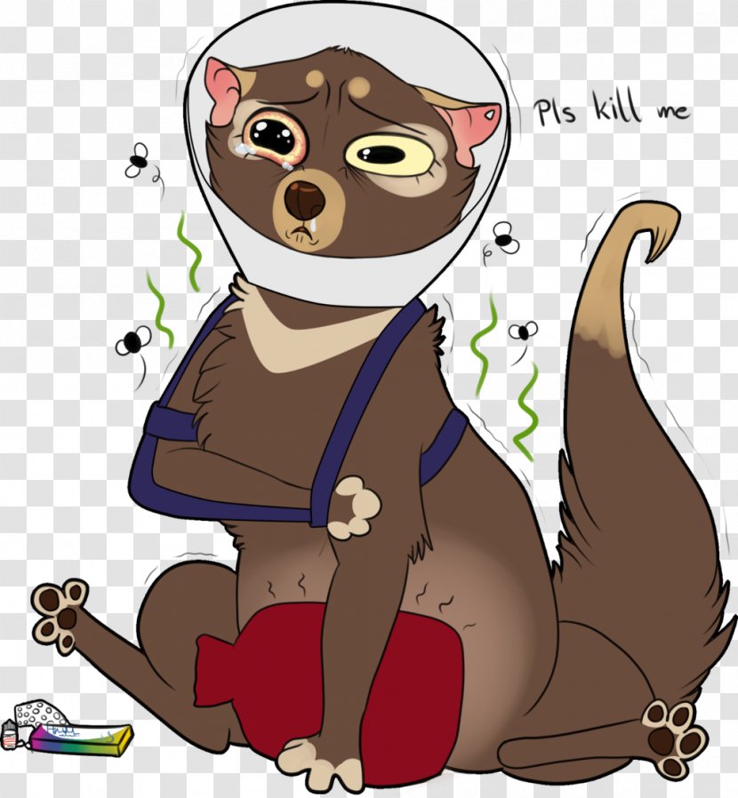 Cat Dog Clip Art Bear Illustration - Cartoon - Cone Shame Transparent PNG
