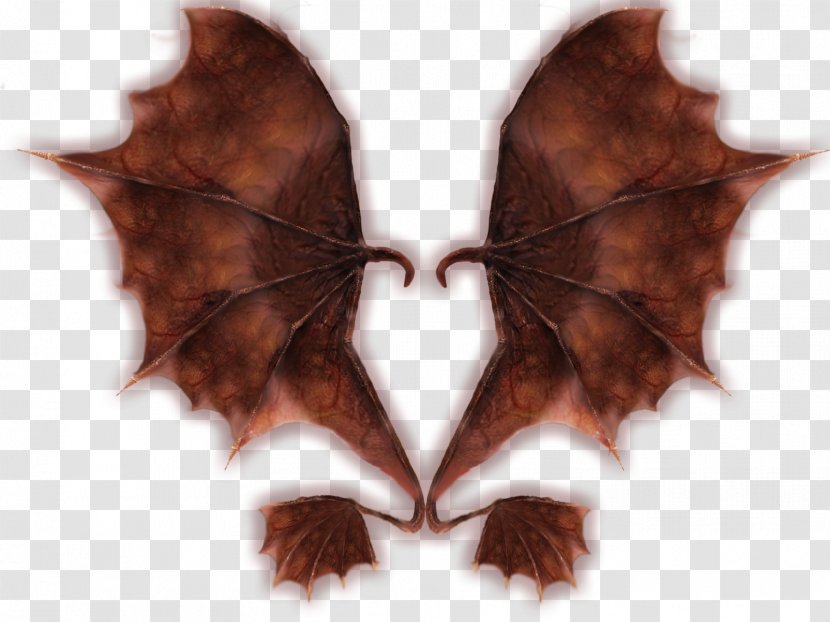 Mu Online Download Computer Servers Game - Symmetry - Hand-painted Wings Transparent PNG