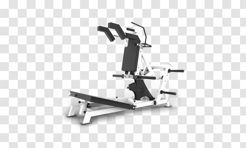 Fitness Centre Squat Exercise Equipment Power Rack - Gym Squats Transparent PNG