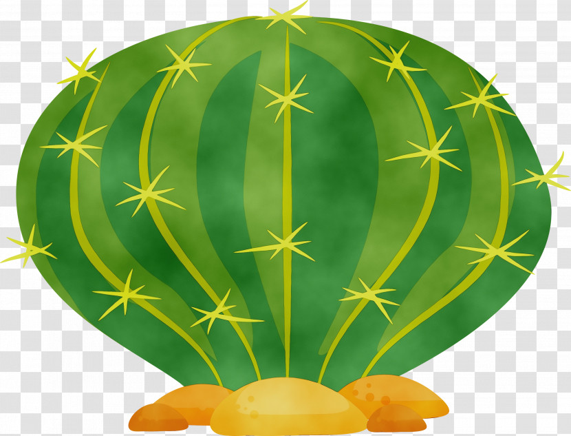 Cactus Transparent PNG