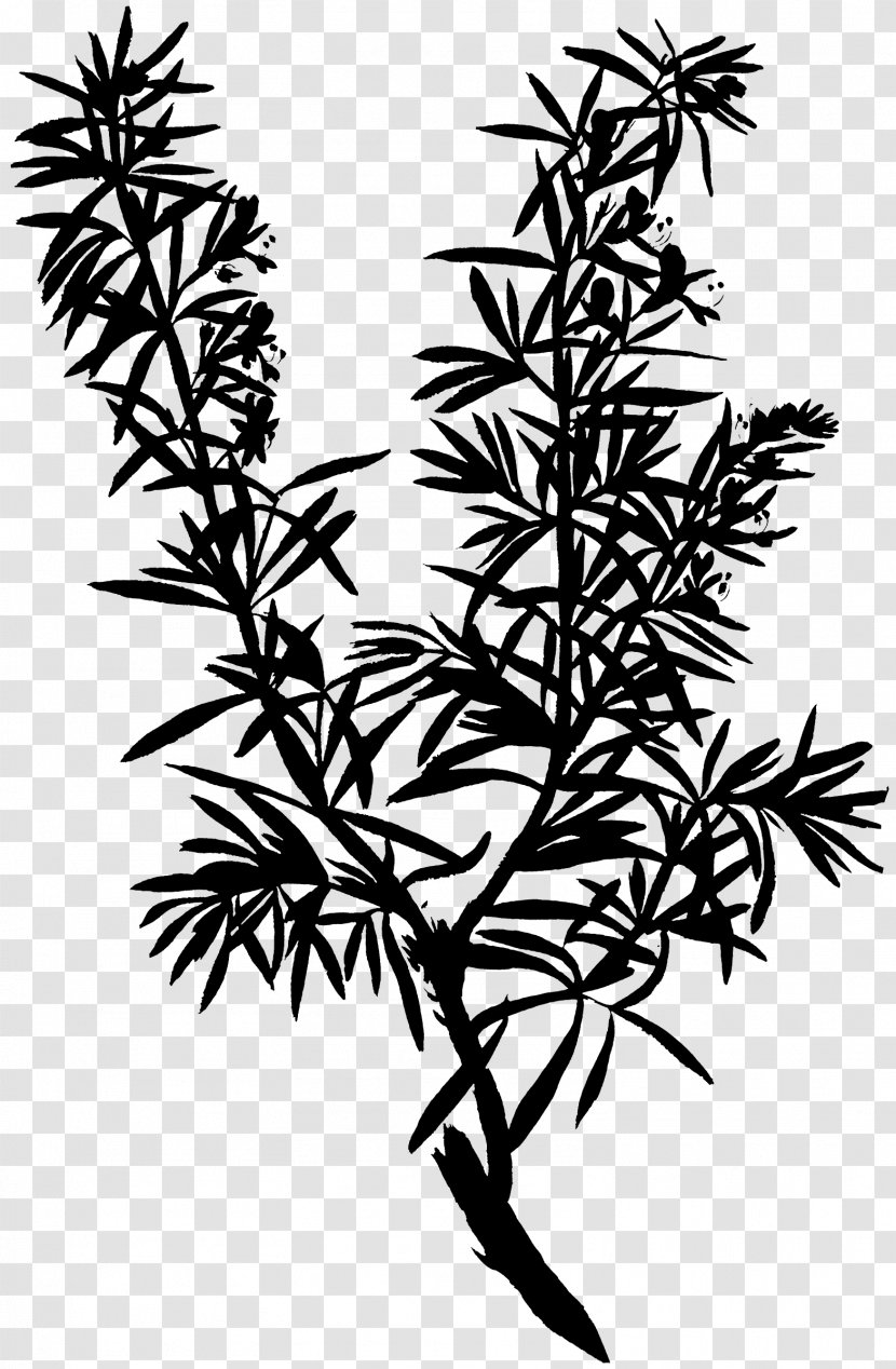 Twig Plant Stem Flower Leaf Line - Tree Transparent PNG