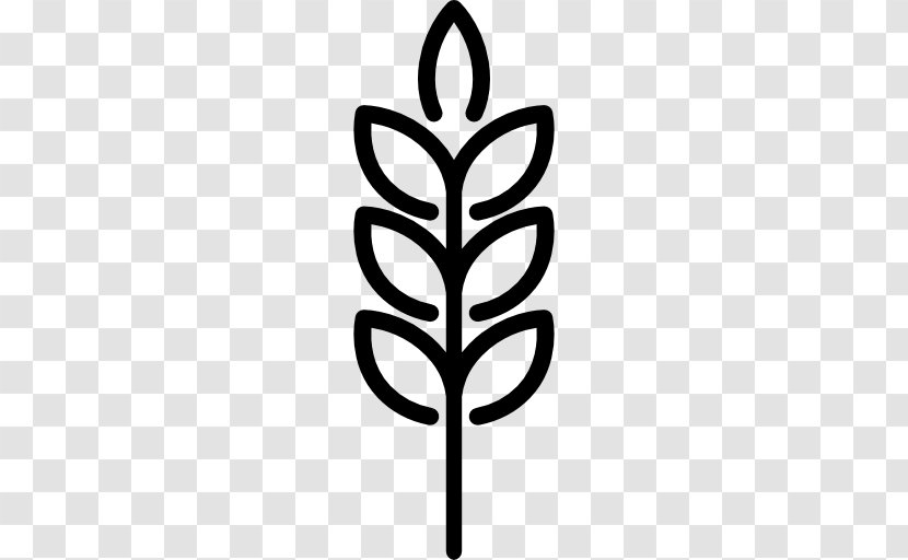 Wheat - Black And White - Leaf Transparent PNG