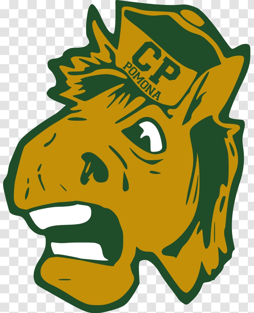 California State Polytechnic University, Pomona University Cal Poly Broncos Men's Basketball Adapted Physical Education - Student - Pomo Transparent PNG