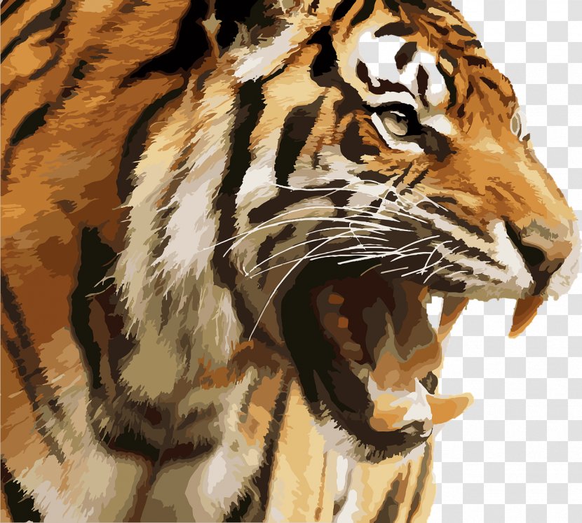 Kanha Tiger Reserve Leopard Felidae Bengal Cat - Big Cats Transparent PNG