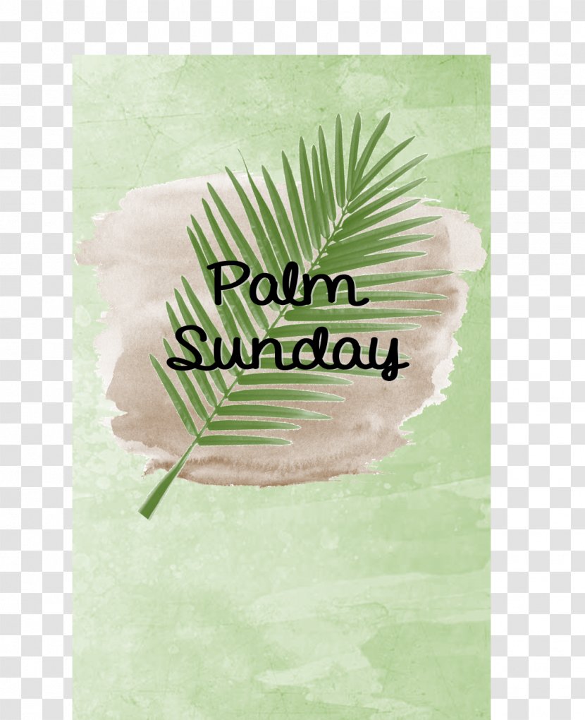 Green Leaf Font - Sunday Transparent PNG