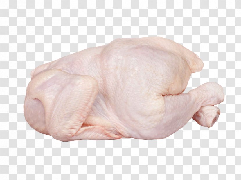 Pink Nose Chicken Breast Meat - Leg - Hand Transparent PNG