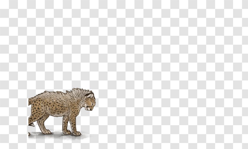 Cat Lion Mammal Kitten Boerboel - Carnivoran - Cheetah Transparent PNG