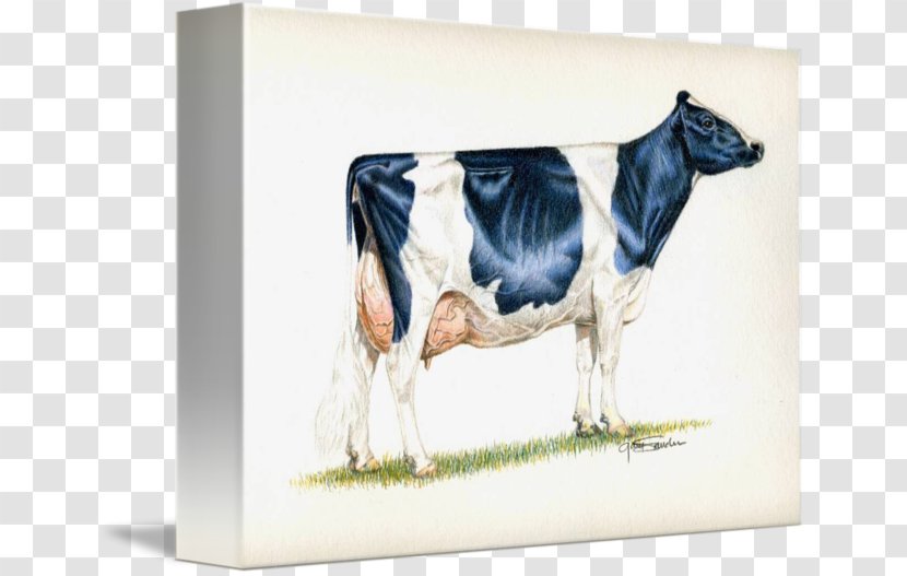 Dairy Cattle Holstein Friesian Guernsey Milk Highland - Breed Transparent PNG