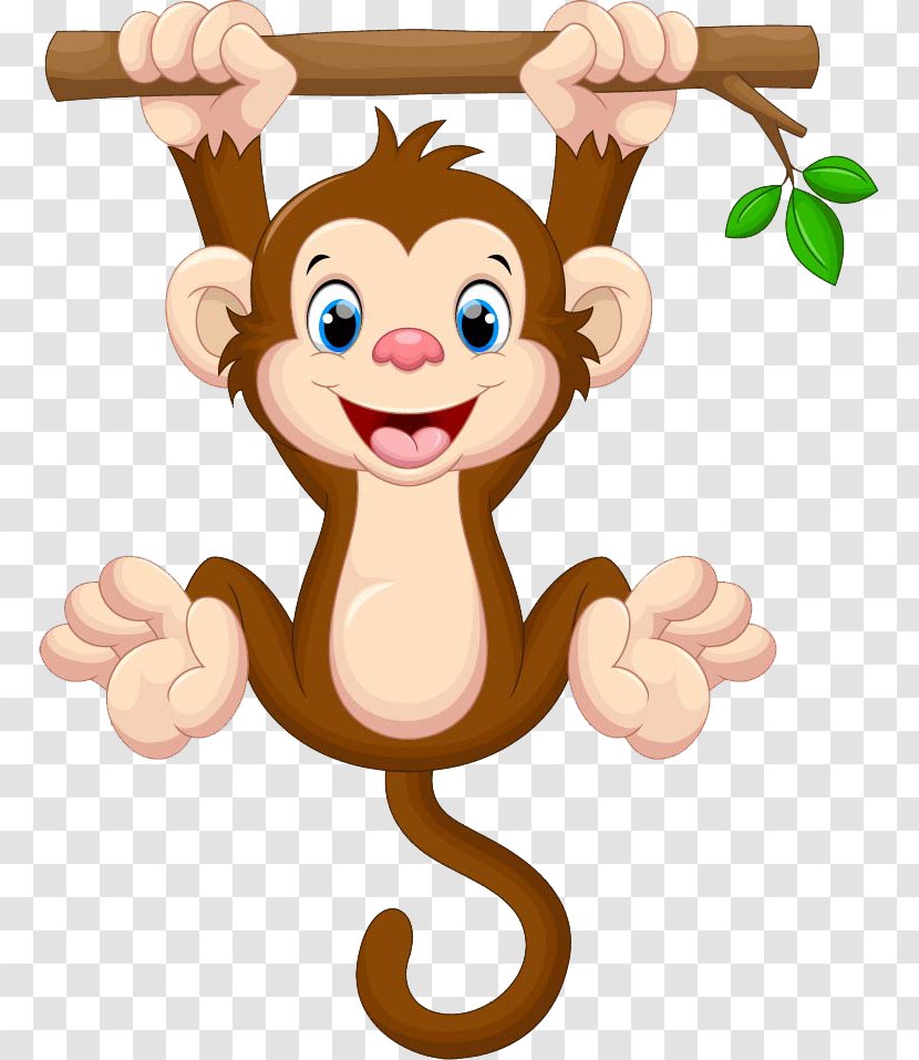 Royalty-free Drawing - Mammal - Monkey Transparent PNG