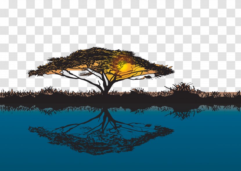 Sunset Giraffe Tree Acacia Baobab - Water - Dusk Desert Transparent PNG