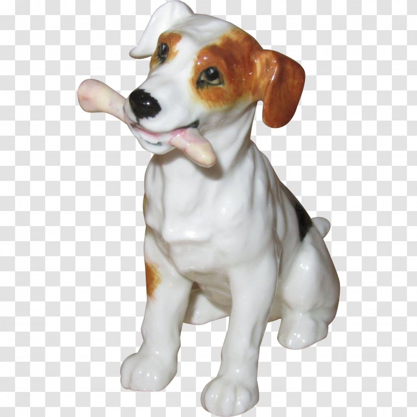Jack Russell Terrier English Foxhound Parson Harrier Beagle - Bone Dog Transparent PNG