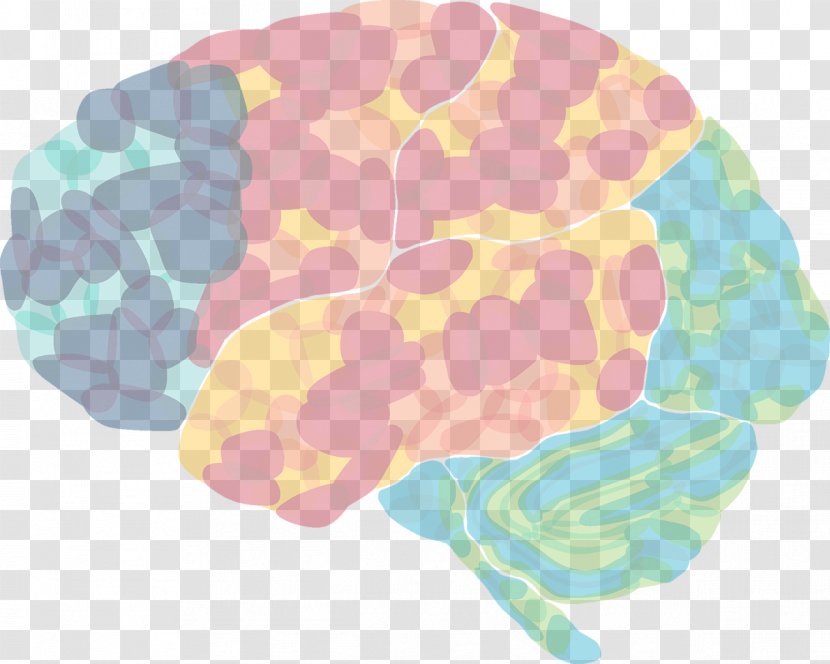 Integrative Neuroscience Frontiers Media Scientific Journal Brain - Watercolor - Enjoyment Transparent PNG