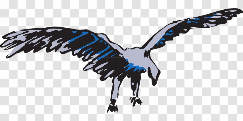 Bald Eagle Bird Clip Art - Animal Figure Transparent PNG