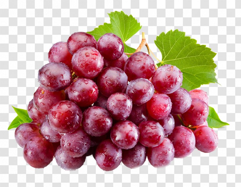 Juice Isabella Common Grape Vine Table - Vitis - Pattern Transparent PNG
