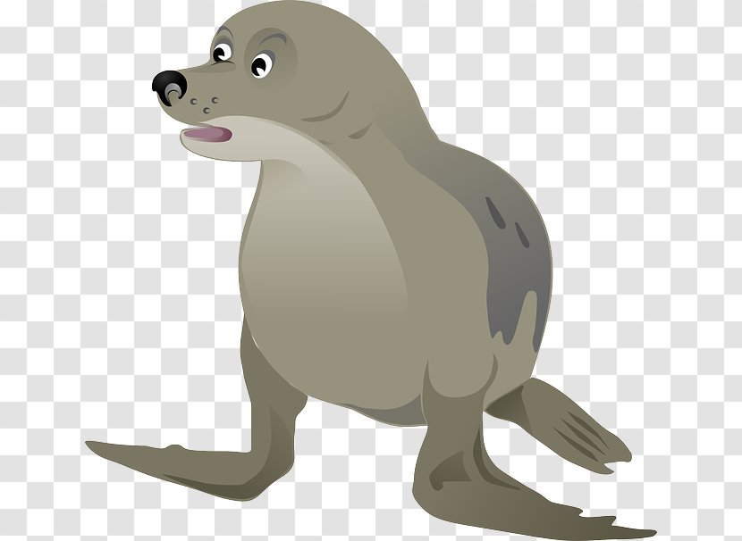 Clip Art - Mammal - Harbor Seal Transparent PNG