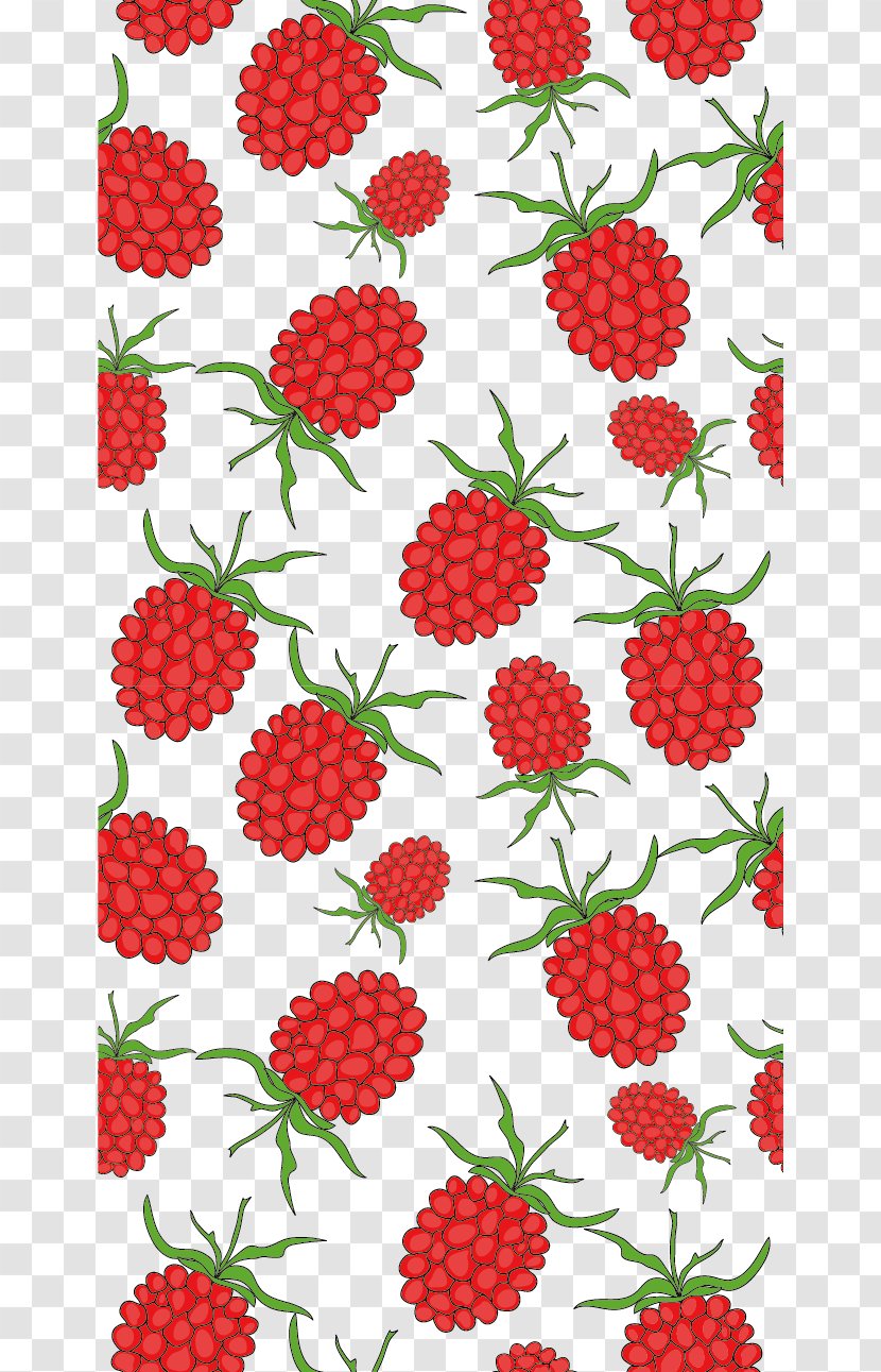 Red Raspberry - Berry - Vector Transparent PNG