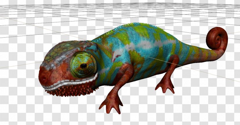 Chameleons Iguanas Fauna Terrestrial Animal - Scaled Reptile - Phanter Transparent PNG