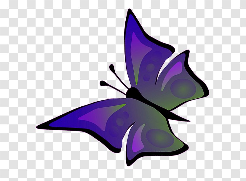 Drawing Butterfly YouTube - Artwork Transparent PNG