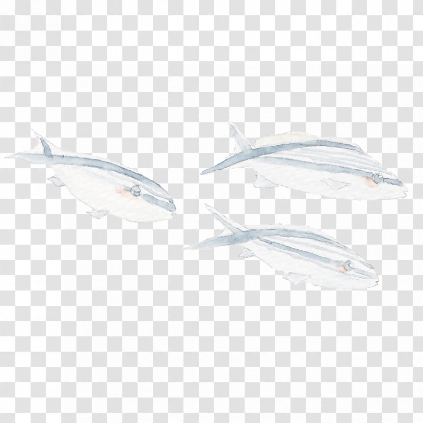 Aquatic Fish Silverfish - Dolphin - Silver Transparent PNG