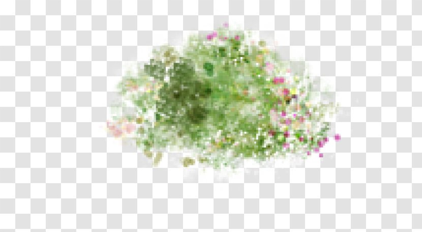 Garden Furniture Flowerpot Lawn - Herb - Flower Transparent PNG